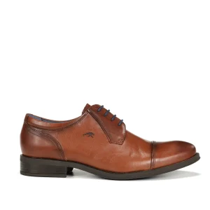 HERACLES 8412W Zapato Marrón