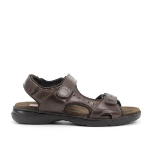 DOZER F1201 Sandalia Marrón